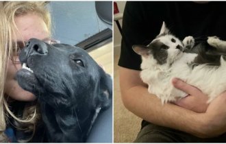 Thank you, people: 30 touching photos of rescued animals (31 photos)