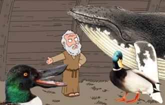 Широконоска: Хищная утка с сотнями «зубов» внутри клюва. Выглядит как древнегреческий монстр (7 фото)