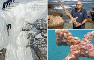 17 любопытных изображений необычных находок (16 фото)
