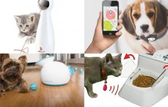 Технологии для питомцев: прикольные и полезные гаджеты, облегчающие жизнь с домашними животными (9 фото)