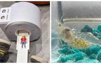 20 странных и необычных вещей, на которые приятно смотреть (21 фото)