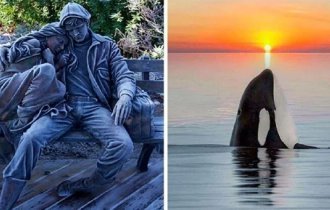 50 снимков, которые порадуют вашего внутреннего перфекциониста (51 фото)