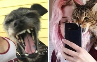 15 funny photos of people trying to take a selfie with their pet (16 photos)