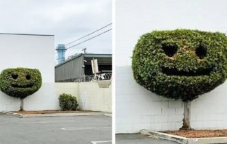 Странные находки от природы (35 фото)