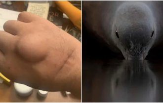 25 жутких снимков, которые вызывают противоречивые чувства (26 фото)