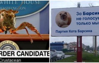 Этих хвостатых выбирали на руководящие должности на полном серьёзе (часть вторая) (7 фото)