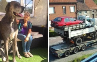 16 випадків, коли люди мали фотографії, щоб довести їх неймовірні історії (17 фото)