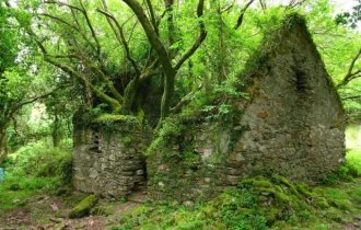 Природа берет свое: красивые заброшенные места (15 фото)