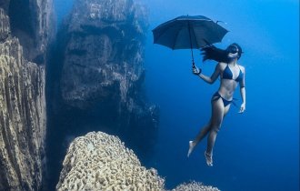 Лучшие подводные фотографии 2017 года (15 фото)