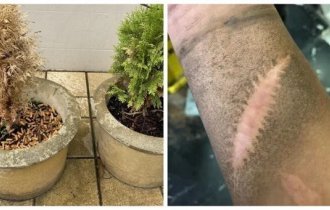 19 фактов и наблюдений, которые могут вас заинтересовать (20 фото)