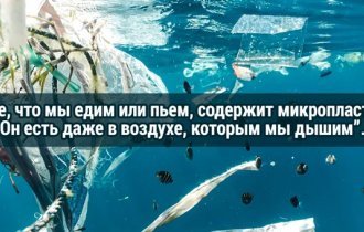 27 мрачных фактов, которые сразу же хочется забыть (28 фото)