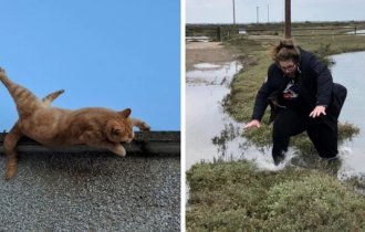 14 удачно сделанных фотографий, герои которых находятся в шаге от поджидающей их неприятности (16 фото)