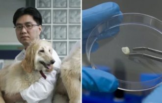 8 научных открытий, которые изменили мир, а мы и не знали (10 фото)