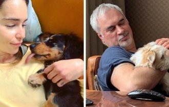 Кто приносит тапочки знаменитостям: звезды и их собаки (19 фото)