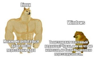 Схватка началась: Windows vs Linux (14 фото)