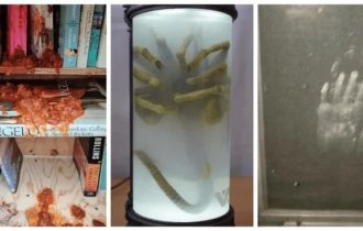 20 photos that make you feel uneasy (21 photos)