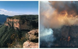 21 фотография, демонстрирующая последствия ужасающих лесных пожаров в Австралии (21 фото)