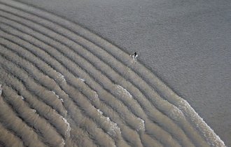 Аляска: на гребне волны (22 фото)