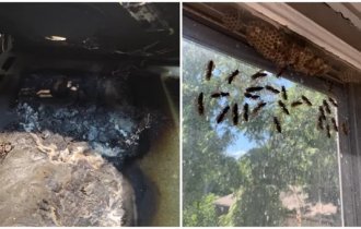 Бедолаги, которых после переезда в новое жилье ждал очень неприятный сюрприз (14 фото)