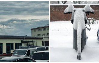 25 examples of pareidolia that prove our brains can come up with anything (26 photos)