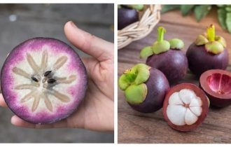 12 exotic fruits from around the world (13 photos)