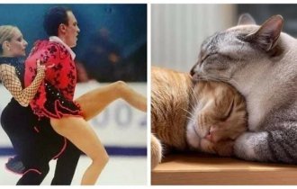 50 photos that are confusing (51 photos)