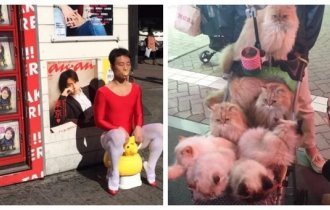 17 причудливых ситуаций из Японии, которые местные даже не заметят (18 фото)