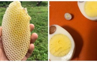 29 впечатляющих неожиданных находок (30 фото)