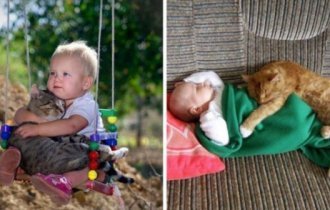Это милые фото доказывают, что каждому ребенку нужна кошка (11 фото)