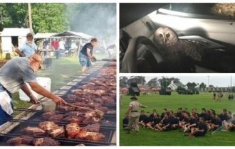 Коли Всесвіт тебе тролює, тобі не смішно (30 фото)