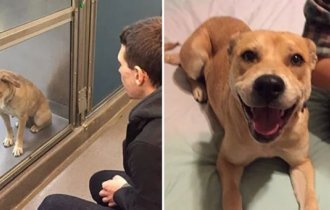 19 фото "до и после", которые точно вас порадуют (20 фото)