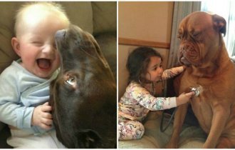 21 милое доказательство того, что каждому ребенку нужна собака (22 фото)