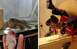 15 человек, чей день выдался хуже некуда (16 фото)