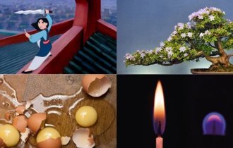 Жестокая Мулан, пивной алкоголизм, не дерево бонсай и другие любопытные факты (10 фото)