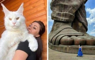 16 предметов, которые кажутся слишком огромными для этого мира (17 фото)