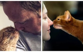 Поцелуи истинной любви (21 фото)