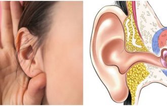 10 surprising facts about earwax (11 photos)