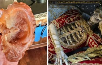 34 фото жутко занятных вещиц, которыми поделились пользователи сети (35 фото)