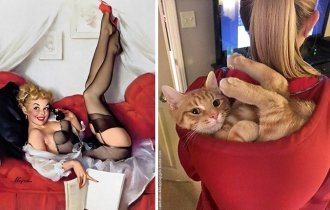 Пин-ап-девушки против кошек в борьбе за вашу любовь (26 фото)