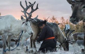 Смертельные деликатесы северных народов (5 фото)