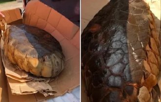 Дивовижні знахідки, які важко пояснити (8 фото)
