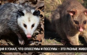 Сегодня я узнал: 29 фактов, которые доказывают, что учиться никогда не поздно (30 фото)