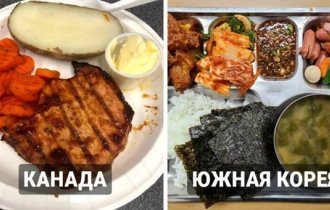 Students from different countries showed what they eat for lunch at their schools (13 photos)