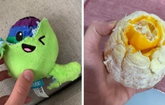 Unexpected finds inside disassembled or broken things (17 photos)