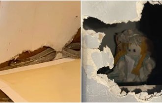 10 дивних та моторошних знахідок, які люди зробили вдома (11 фото)
