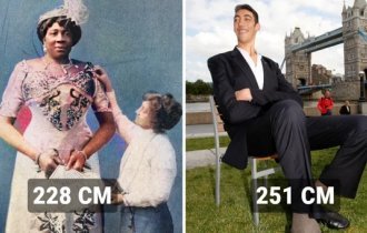 12 tallest people in history, whose height is not a joke, but a documented reality (13 photos)