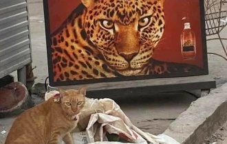 Цікаві фотографії (24 фото)