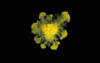 Чудо природи: крапля, яка може вирішувати головоломки та має 720 підлог (11 фото + 2 відео)