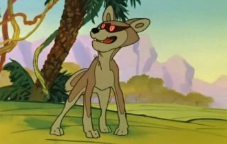 Обыкновенный шакал и интересные факты о нем (11 фото + 2 видео)