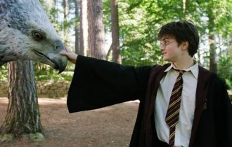 25 фактов о мире Гарри Поттера, которые знает настоящий фанат (26 фото)